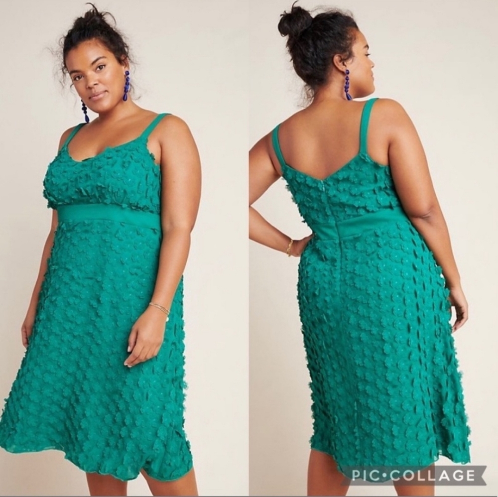 Anthropologie Eva Franco Green Party Dress Hanya Floral Applique 20W NWT